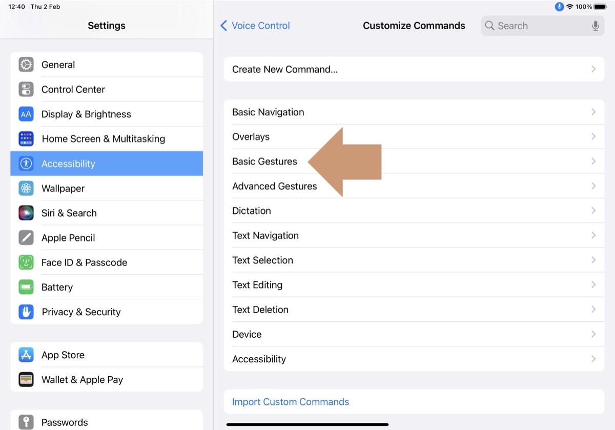 Enable Basic Gestures in Voice Control on the iPad