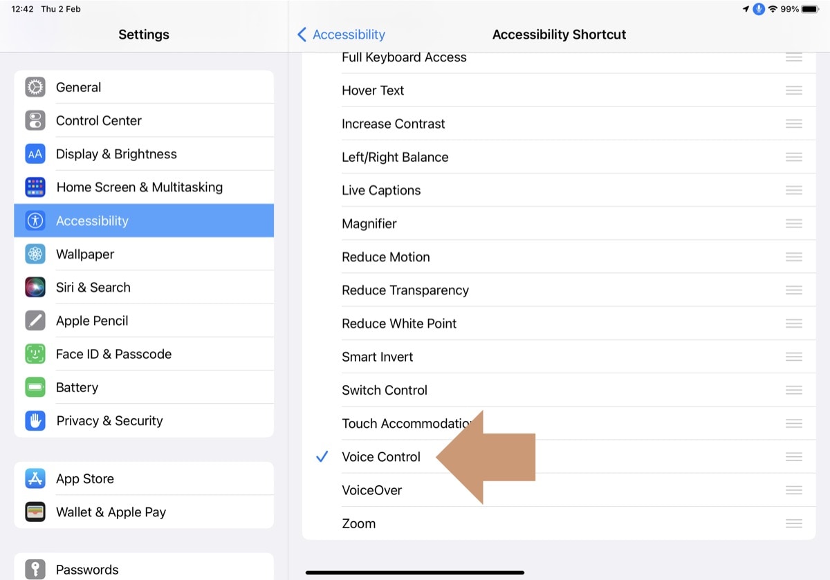 Enable Voice Control to be used in Control Center on the iPad