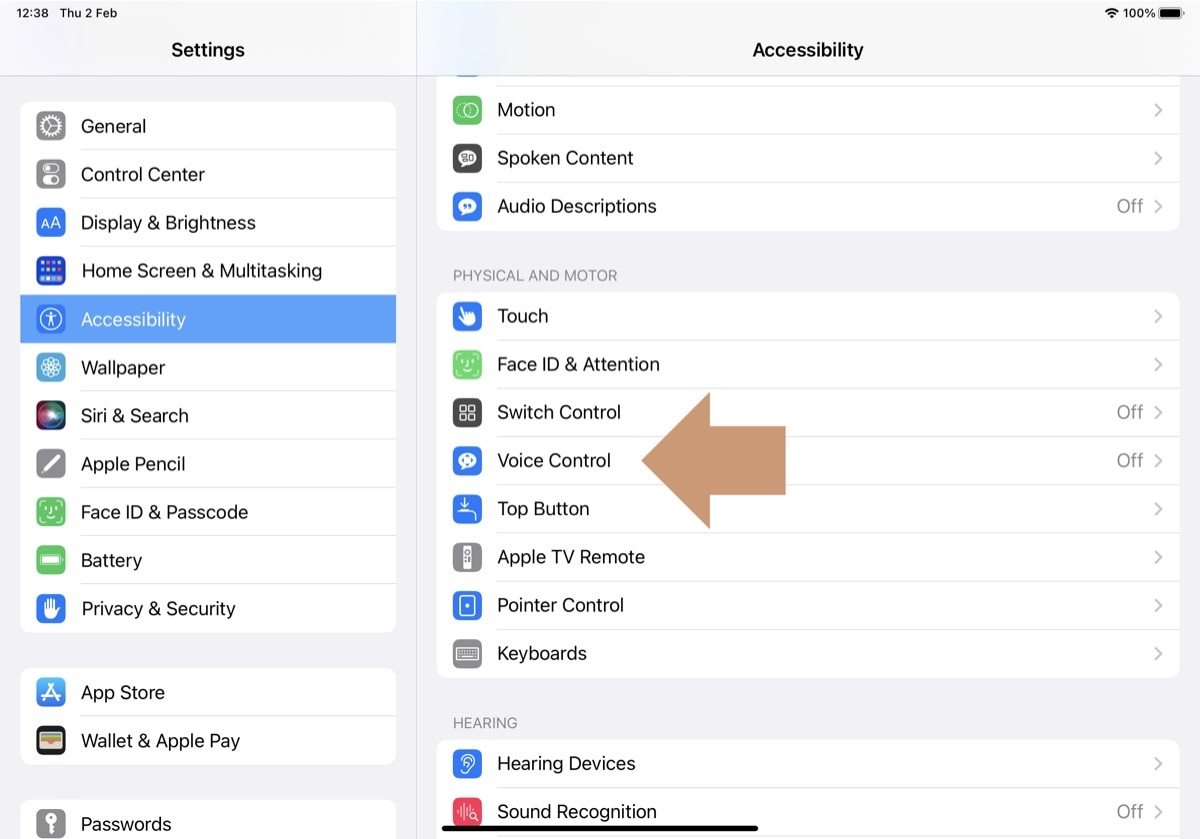 Find Voice Control feature on the iPad