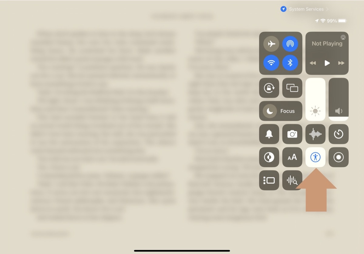 Quickly enable and disable Voice Control in Control Center on the iPad
