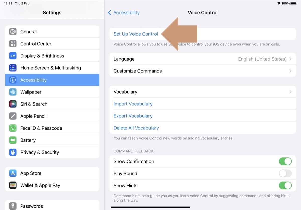 Set up Voice Control feature on the iPad